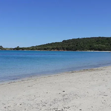 شقة Acque Turquesi, 5ch 8couch 109m2 A Pied 7mn Plage Sable Fin Turquoise Et10mn Village, 10mn Voit Porto Vecchio